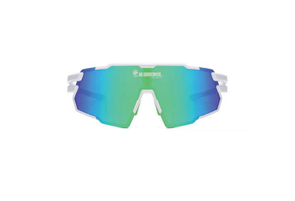 Viper Sunglasses Large