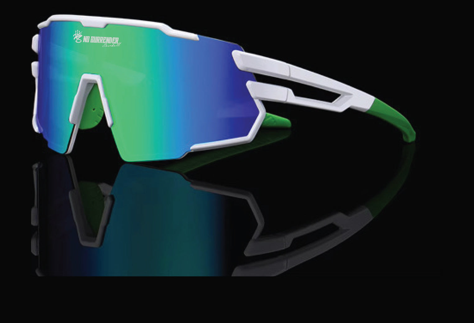 Viper Sunglasses Large